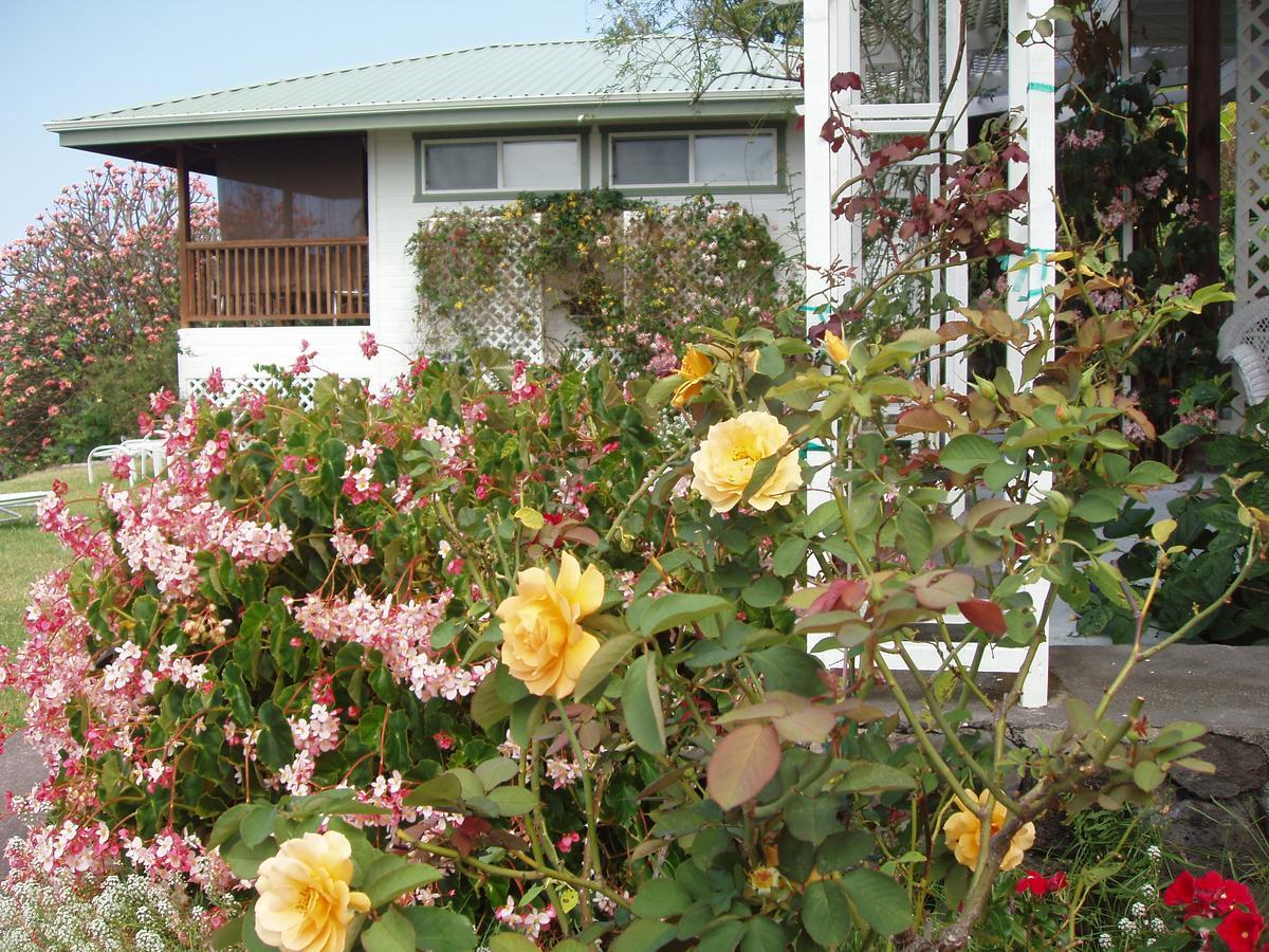 Belle Vue Kona Inc Bed & Breakfast Captain Cook Exterior photo